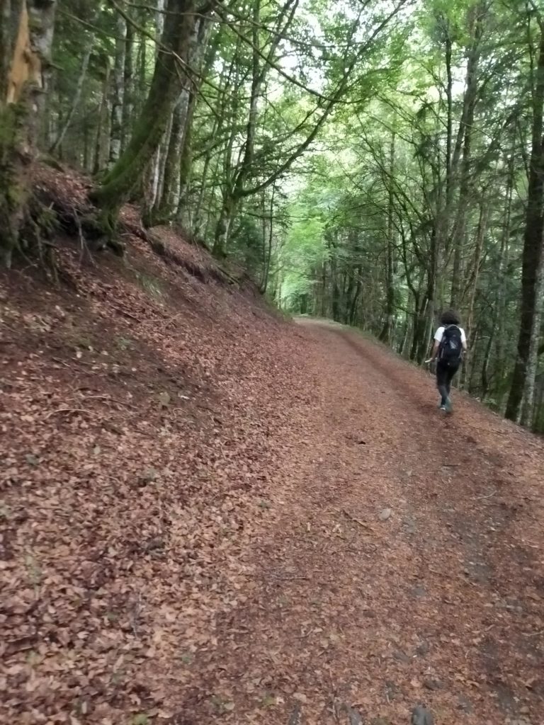 Randonnée en montant à Charlannes